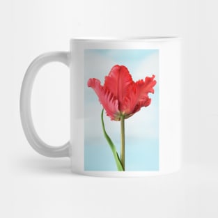 Tulipa  &#39;Garden Fire&#39;   Parrot Tulip Mug